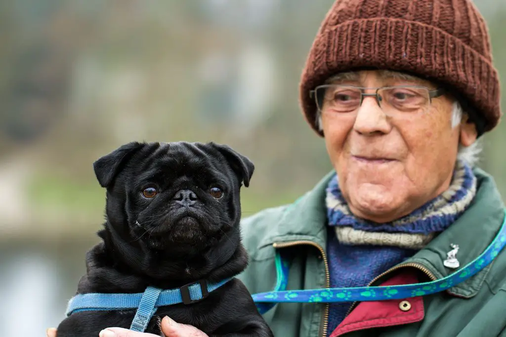 senior with Pet dog for Pet Therapy