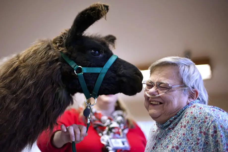 Aged care resident smiling with her pet 