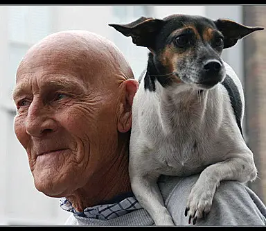 Elderly man with Dog Animal-Assisted Therapy