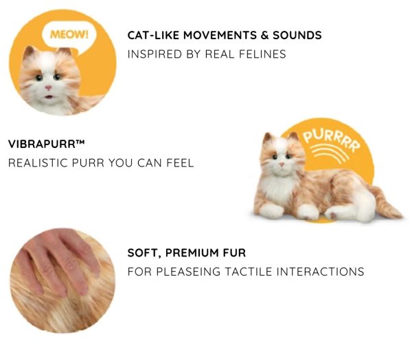 Robot cat hasbro australia pets Robot cat hasbro australia pets