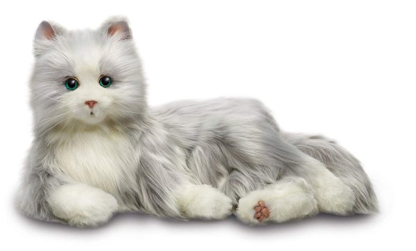 Silver Cat 2 Silver Cat 2