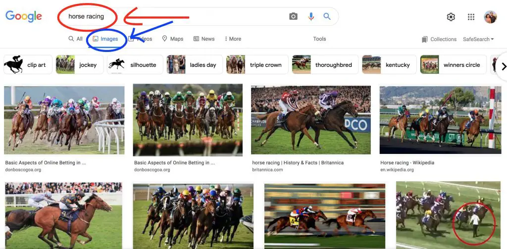 Horse Racing Search on Google