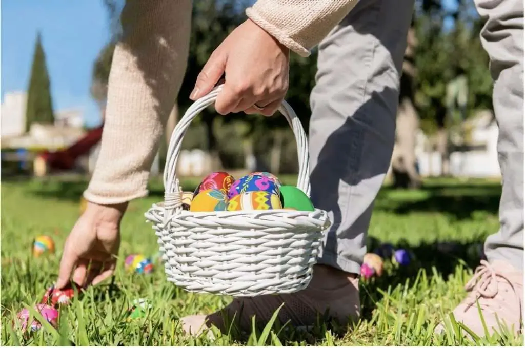 Placing eggs for Easter Egg Hunt