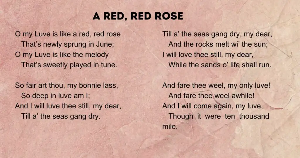 A Red, Red Rose by Robert Burns Copy