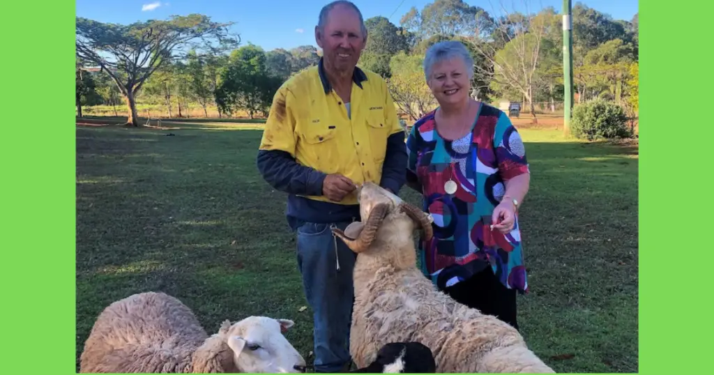 Seniors discussing Australian Shearing Shed Quiz 