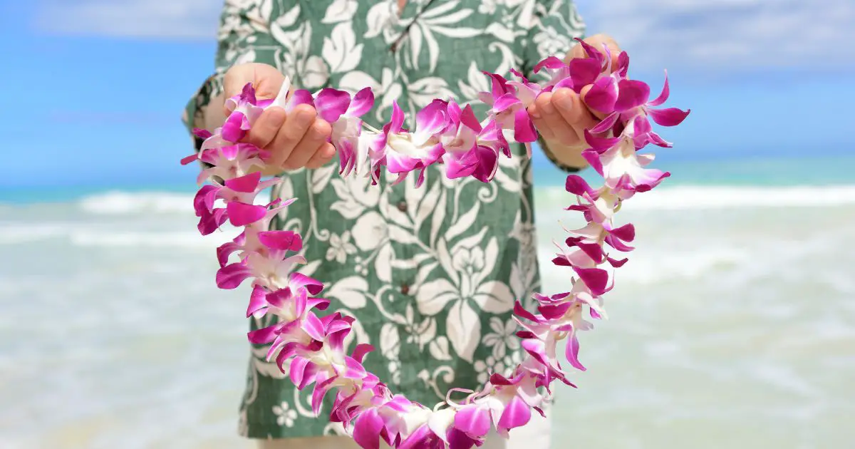 Hawaiian Lei Craft - Activity for Seniors