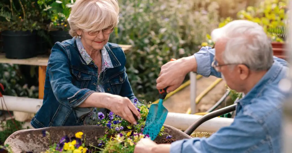 seniors who are gardening