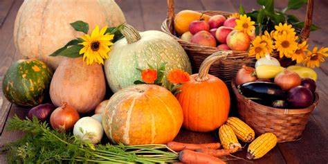 different harvested crops