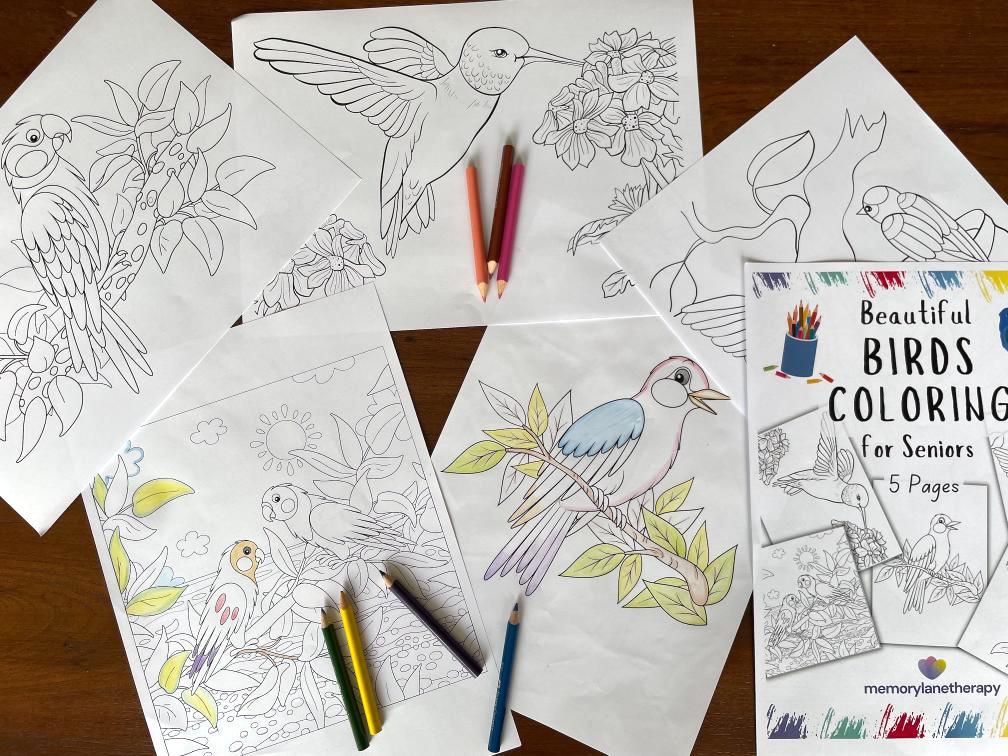 a coloring book for seniors
