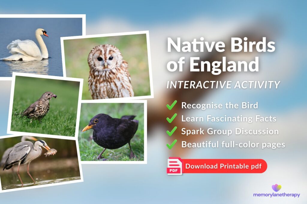 Native Birds of england(2)